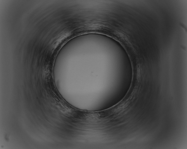 X0000101461210200807141259