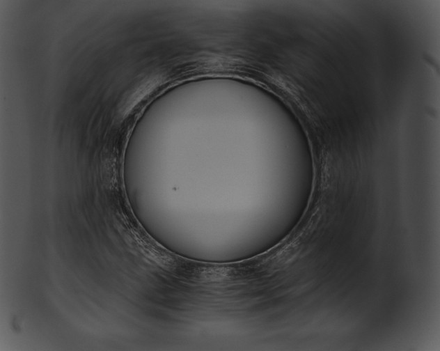 X0000101461211200807141259