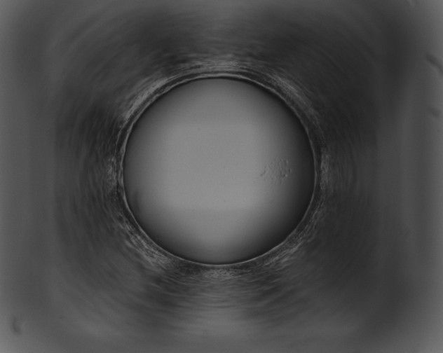 X0000101461212200807141259