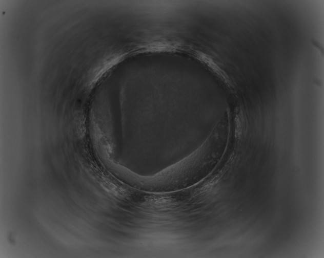 X0000101461213200807141259
