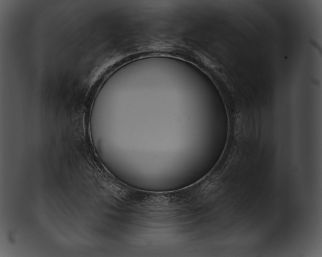 X0000101461214200807141259