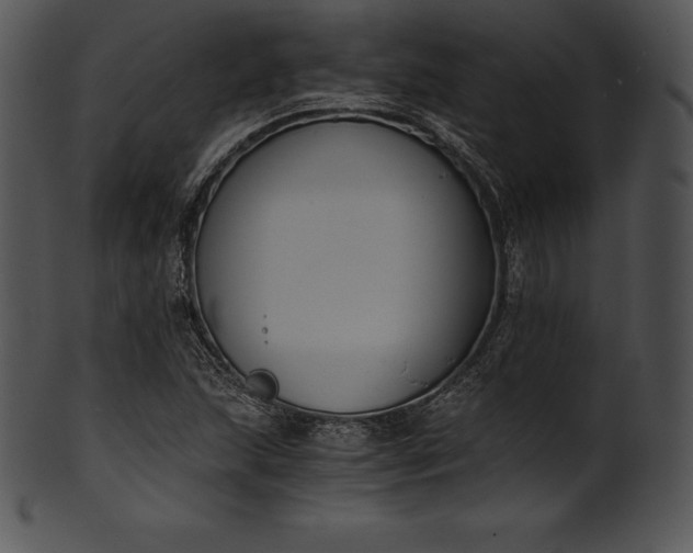 X0000101461215200807141259
