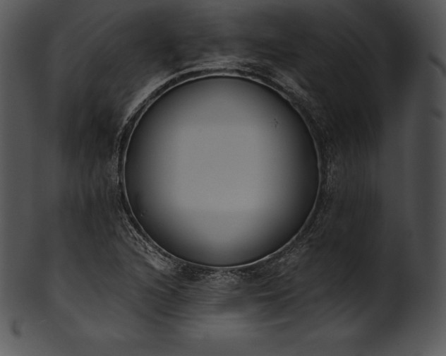 X0000101461216200807141259