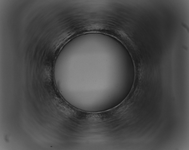 X0000101461217200807141259
