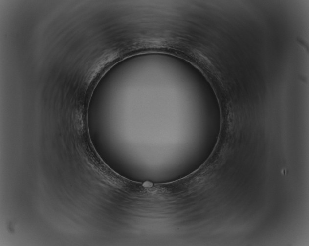 X0000101461218200807141259