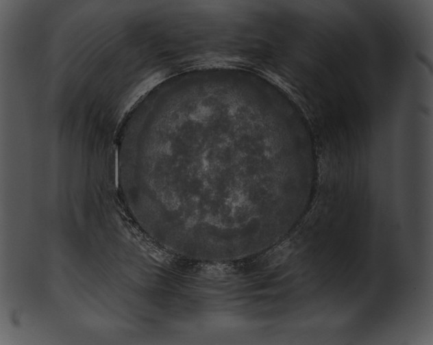 X0000101461219200807141259