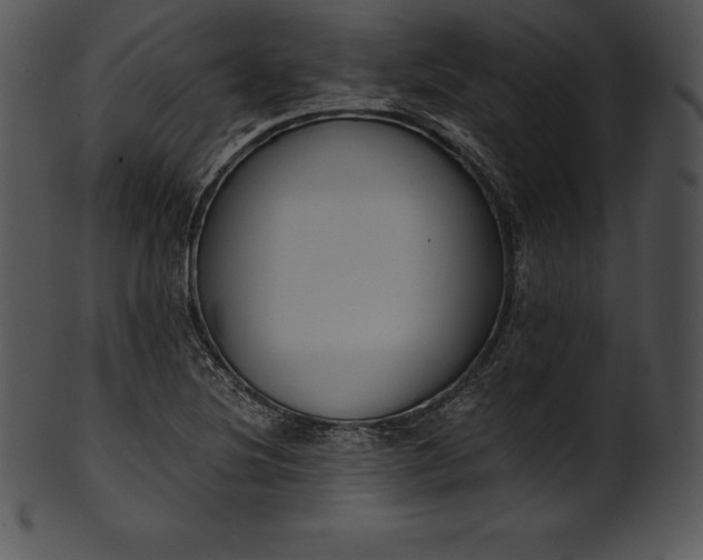 X0000101461220200807141259