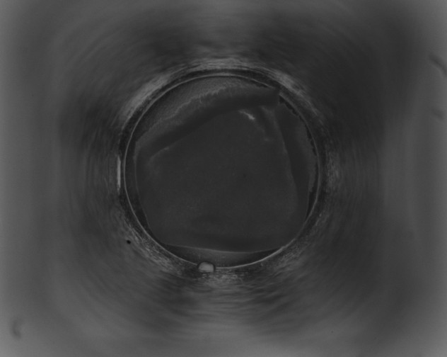 X0000101461221200807141259