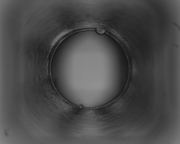 X0000101461222200807141259