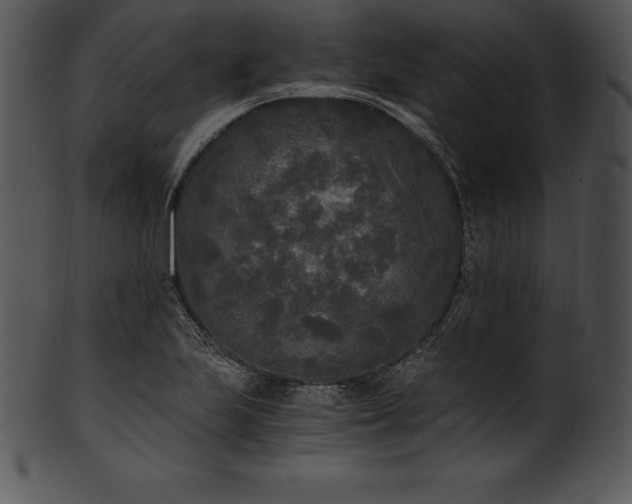 X0000101461223200807141259