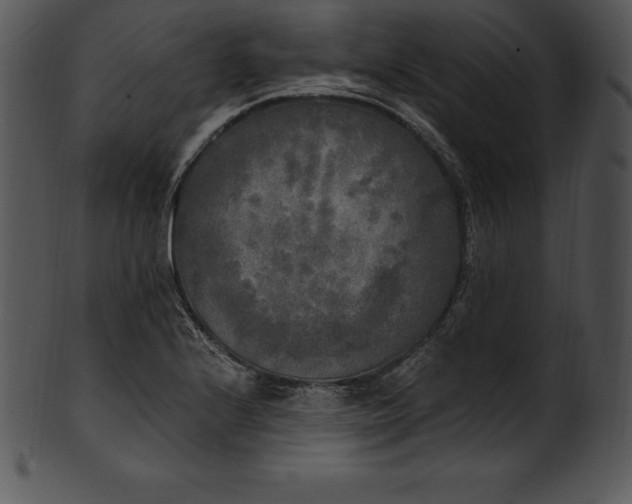 X0000101461224200807141259
