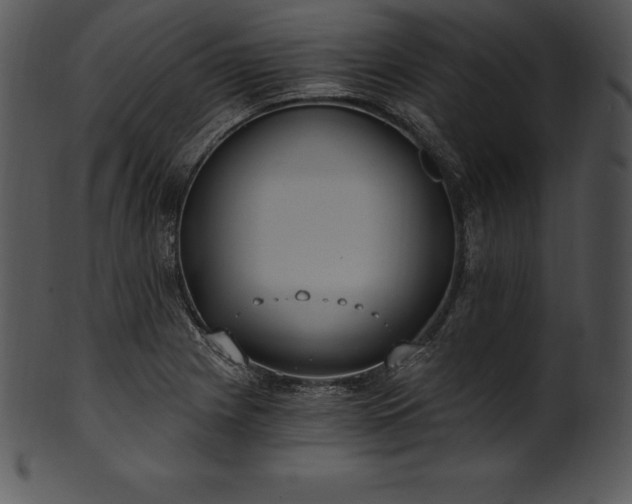 X0000101461225200807141259