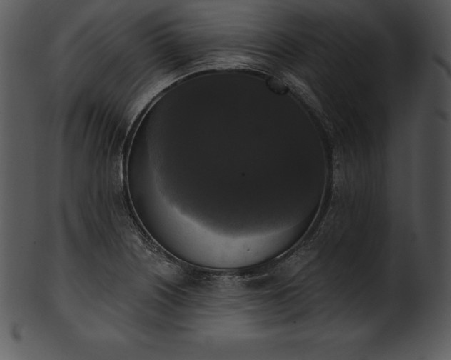 X0000101461226200807141259