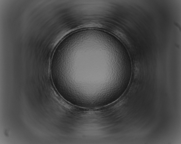 X0000101461228200807141259