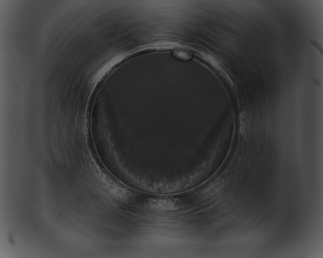 X0000101461229200807141259