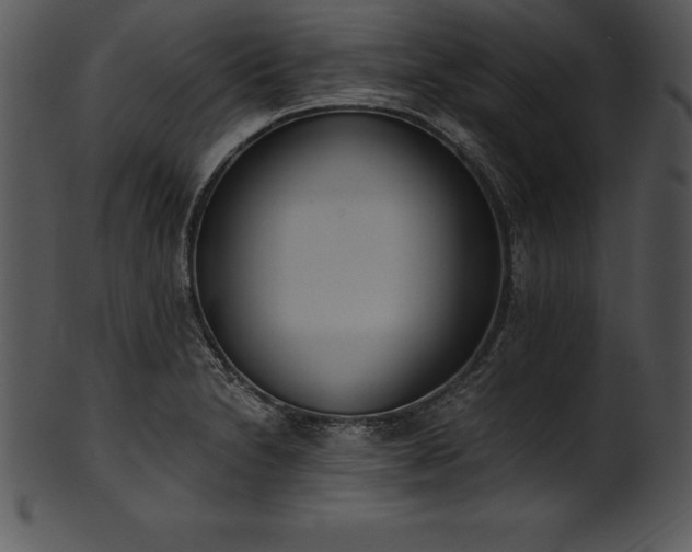 X0000101461230200807141259