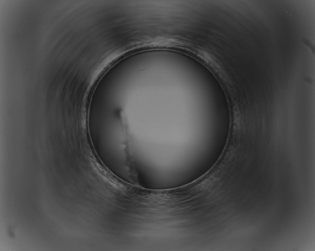 X0000101461232200807141259