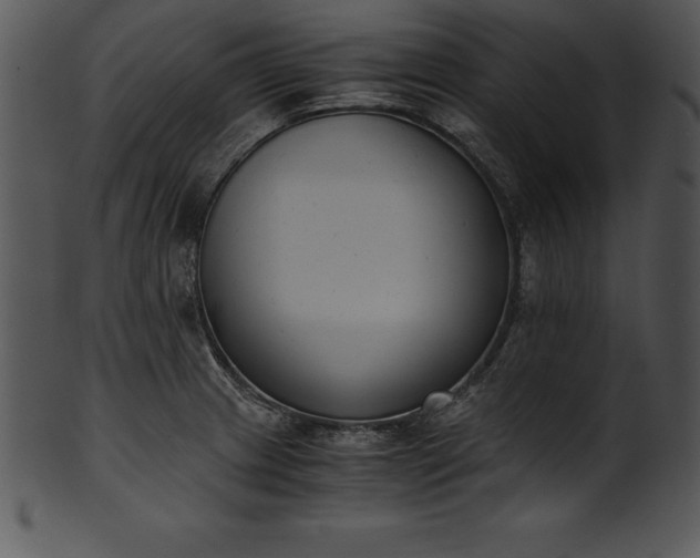 X0000101461233200807141259
