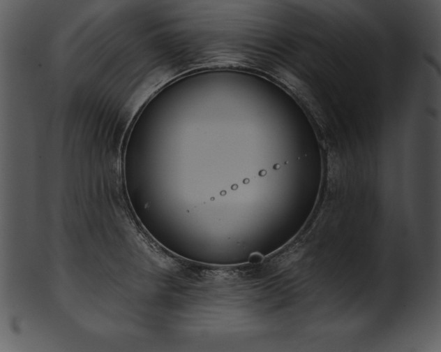 X0000101461234200807141259