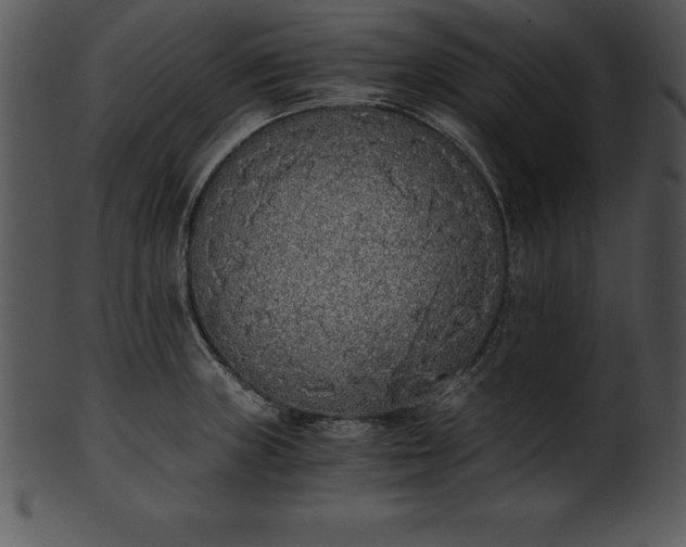 X0000101461235200807141259