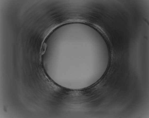 X0000101461236200807141259