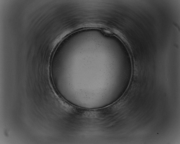 X0000101461237200807141259