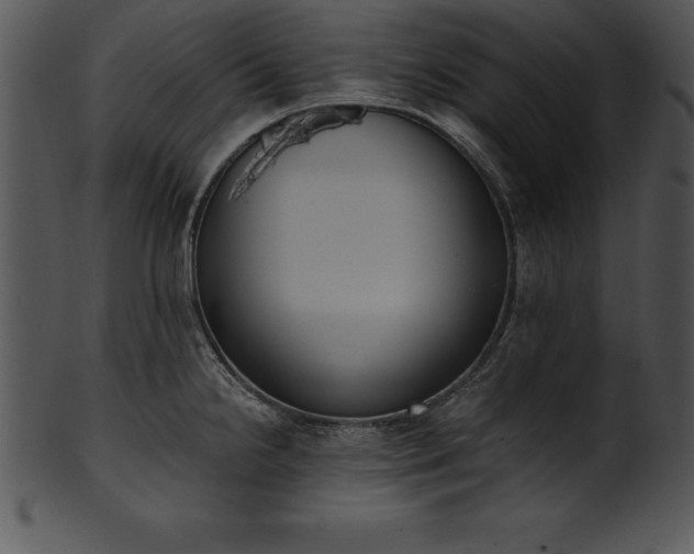X0000101461238200807141259
