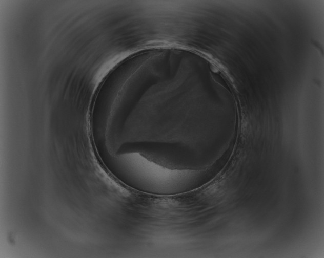 X0000101461239200807141259