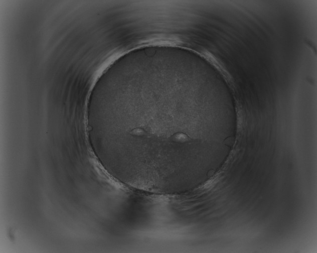 X0000101461240200807141259