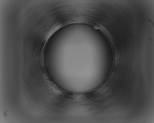 X0000101461242200807141259