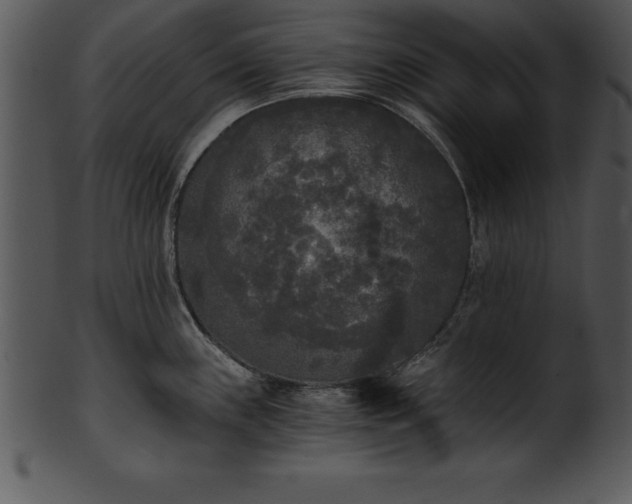 X0000101461243200807141259