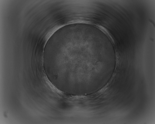 X0000101461244200807141259