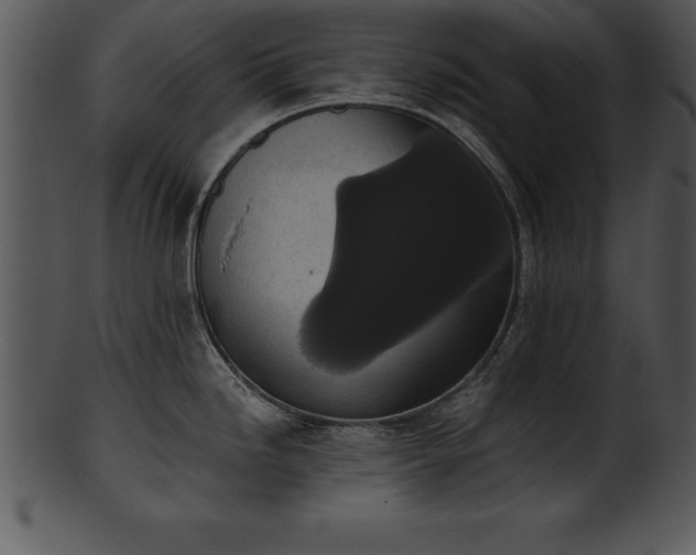 X0000101461246200807141259