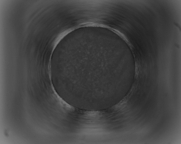X0000101461247200807141259