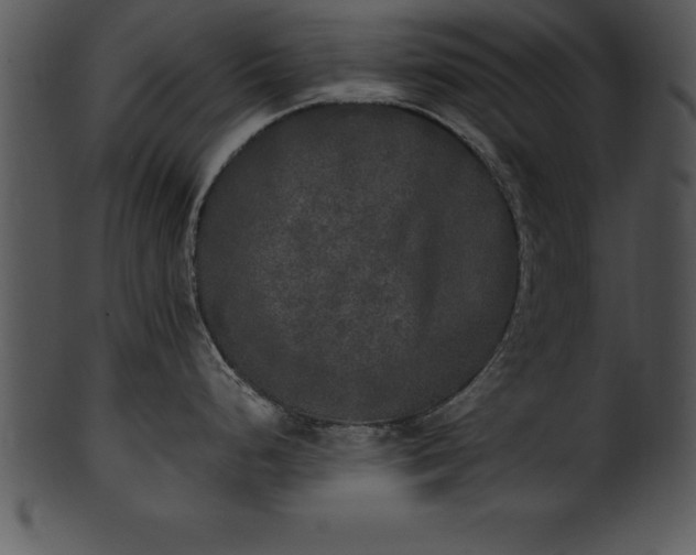 X0000101461248200807141259