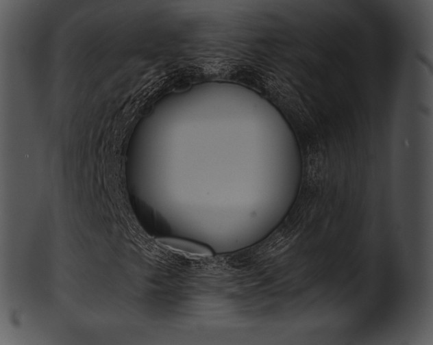 X0000101461249200807141259