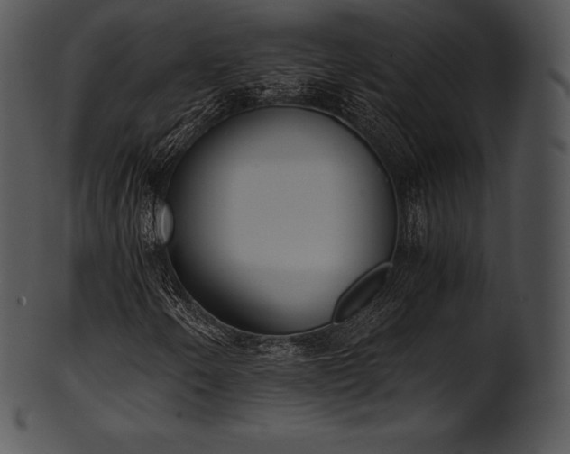 X0000101461250200807141259