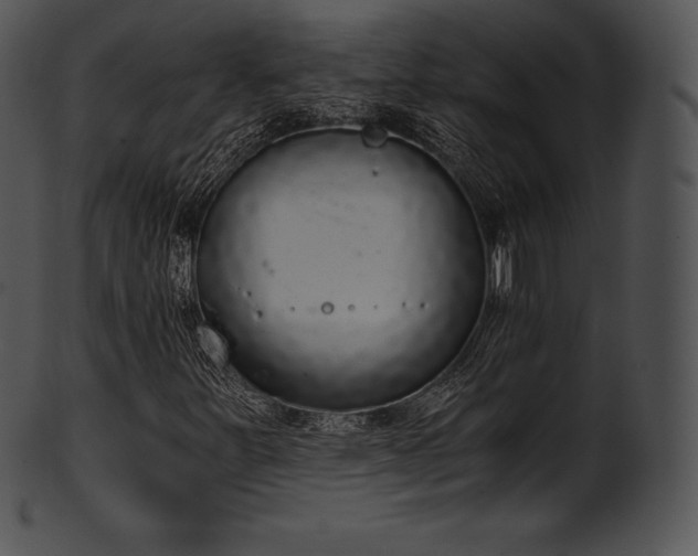 X0000101461251200807141259