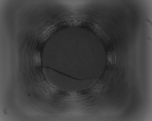 X0000101461252200807141259