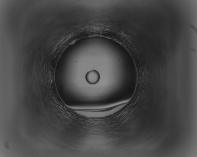 X0000101461253200807141259