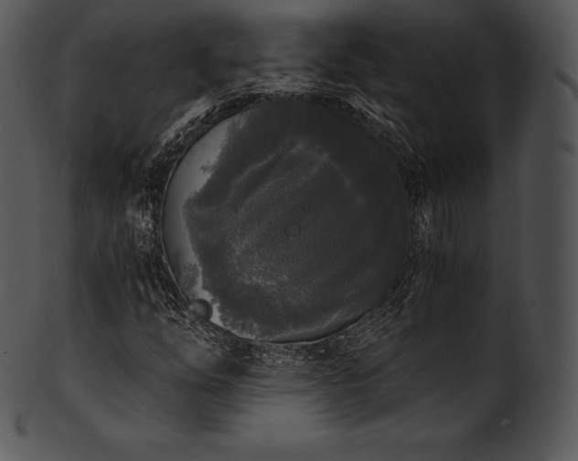 X0000101461254200807141259