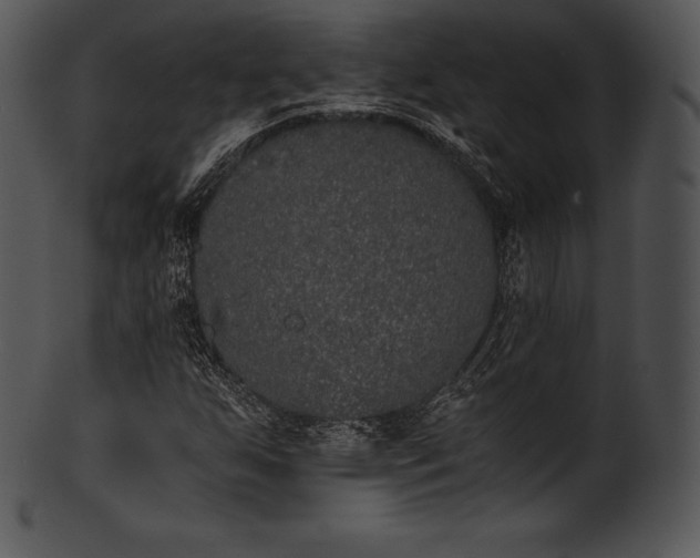 X0000101461255200807141259