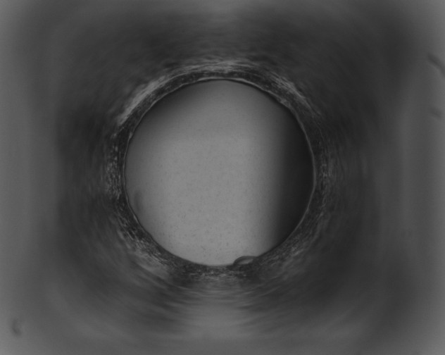 X0000101461256200807141259