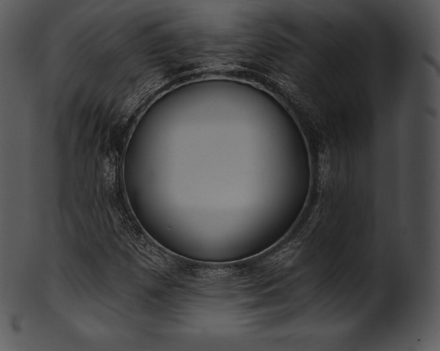 X0000101461257200807141259