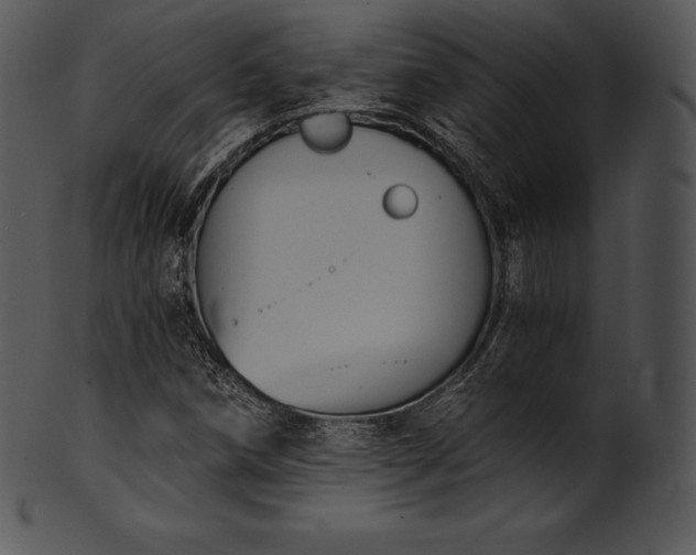 X0000101461258200807141259