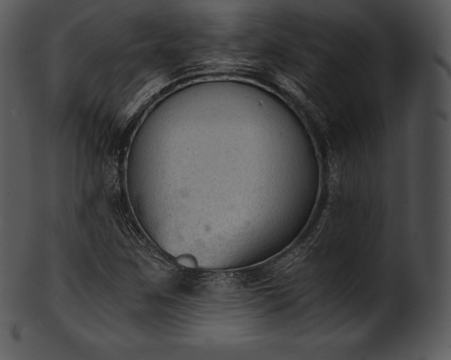 X0000101461259200807141259