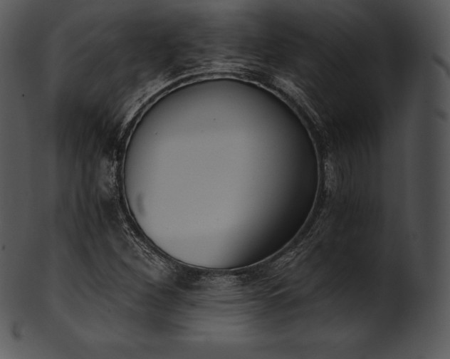 X0000101461260200807141259