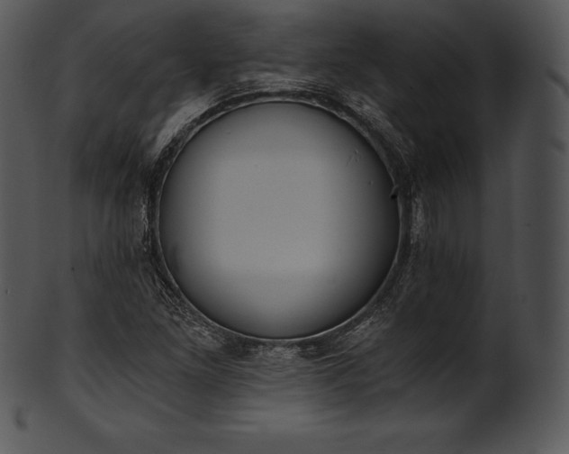 X0000101461261200807141259