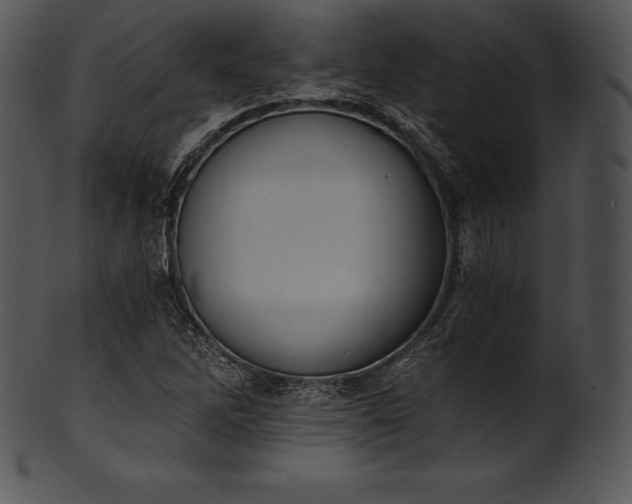 X0000101461262200807141259