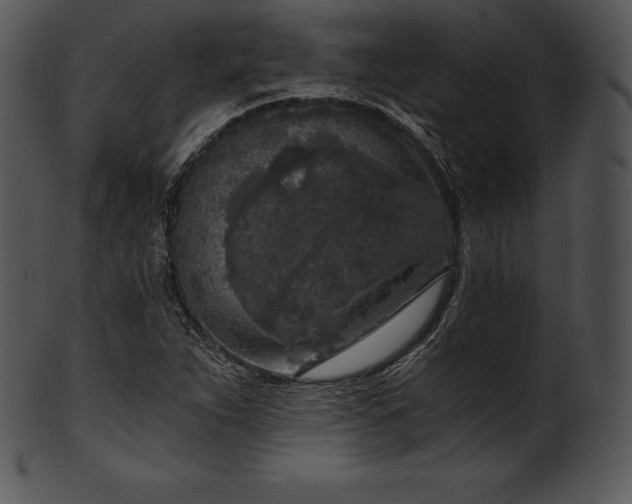 X0000101461263200807141259